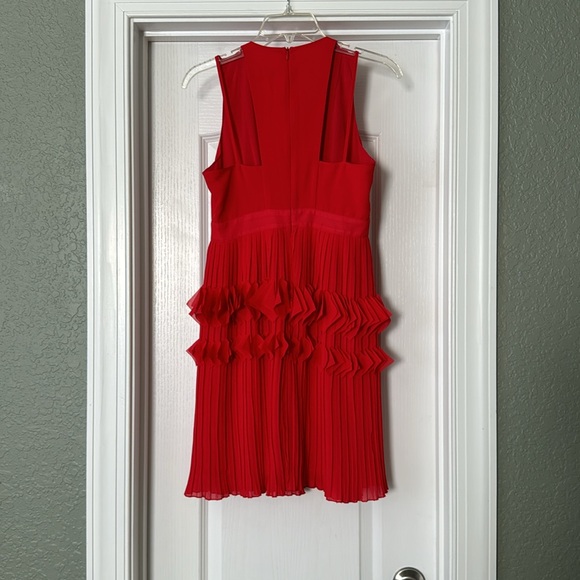 Foxiedox Pleated Ruffle Dress - Picture 5 of 6